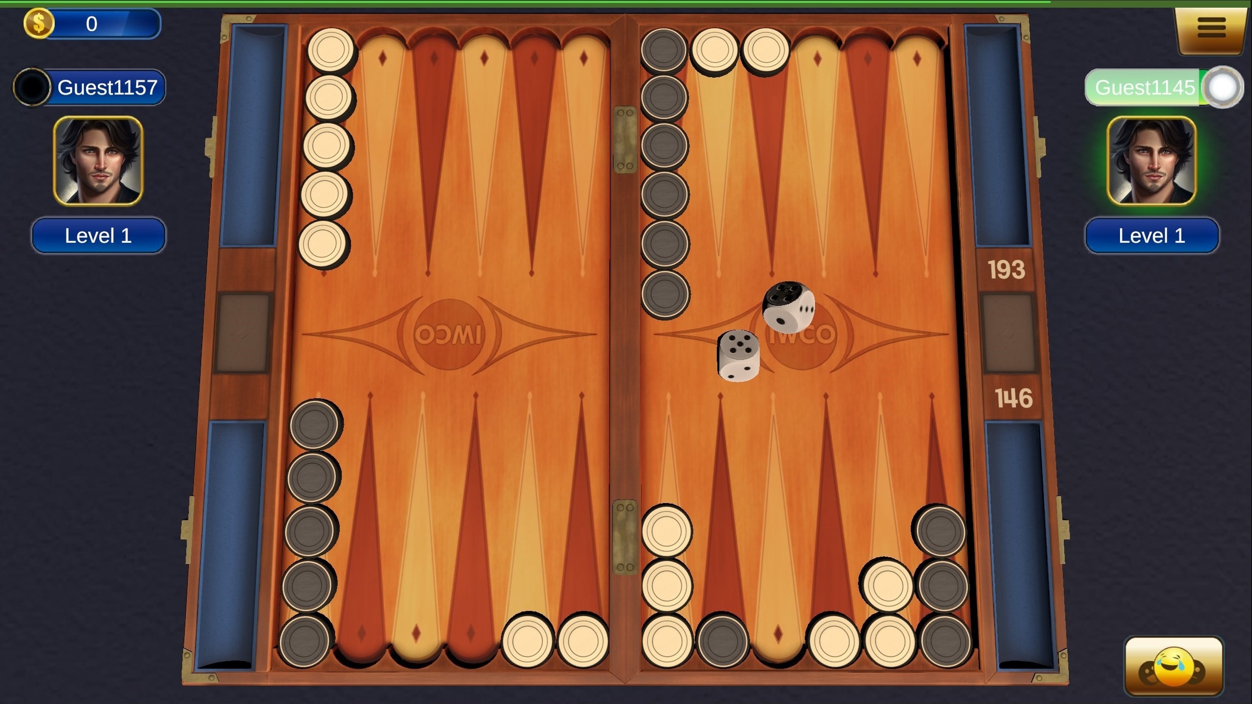 Backgammon Board Playing