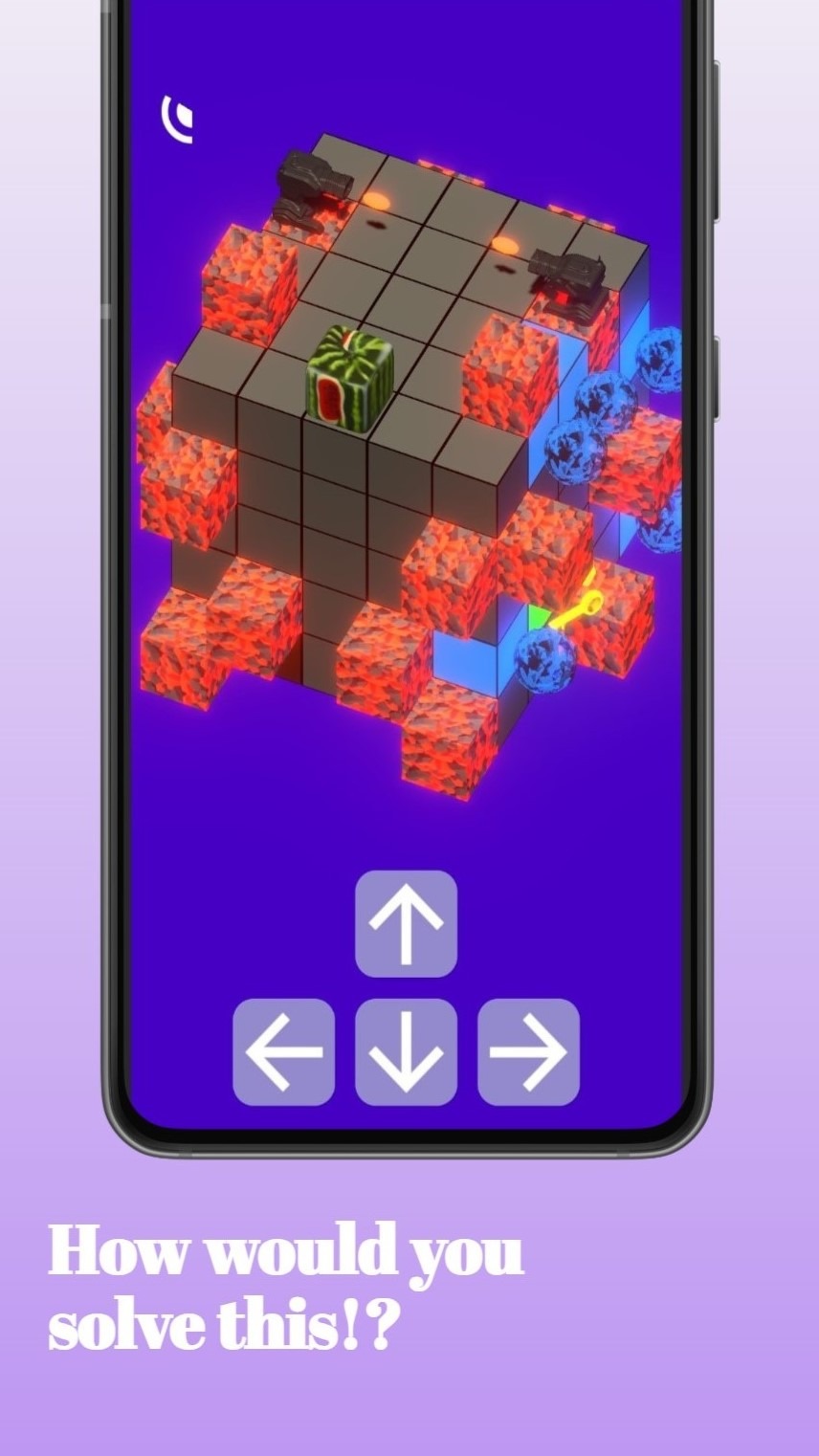 jelly 6 image